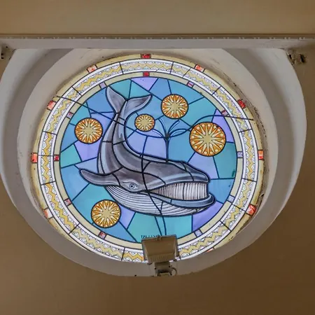 Beb Balena Bed & Breakfast Viareggio